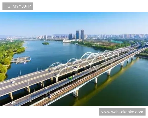 全运会跳水赛事圆满落幕 展现卓越赛事组织实力